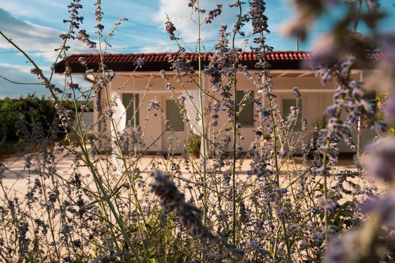 B&B La Ferula Altamura Esterno foto